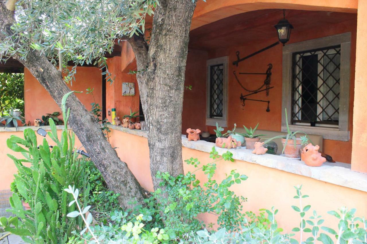 B&B Country Lemon Santa Marta 외부 사진