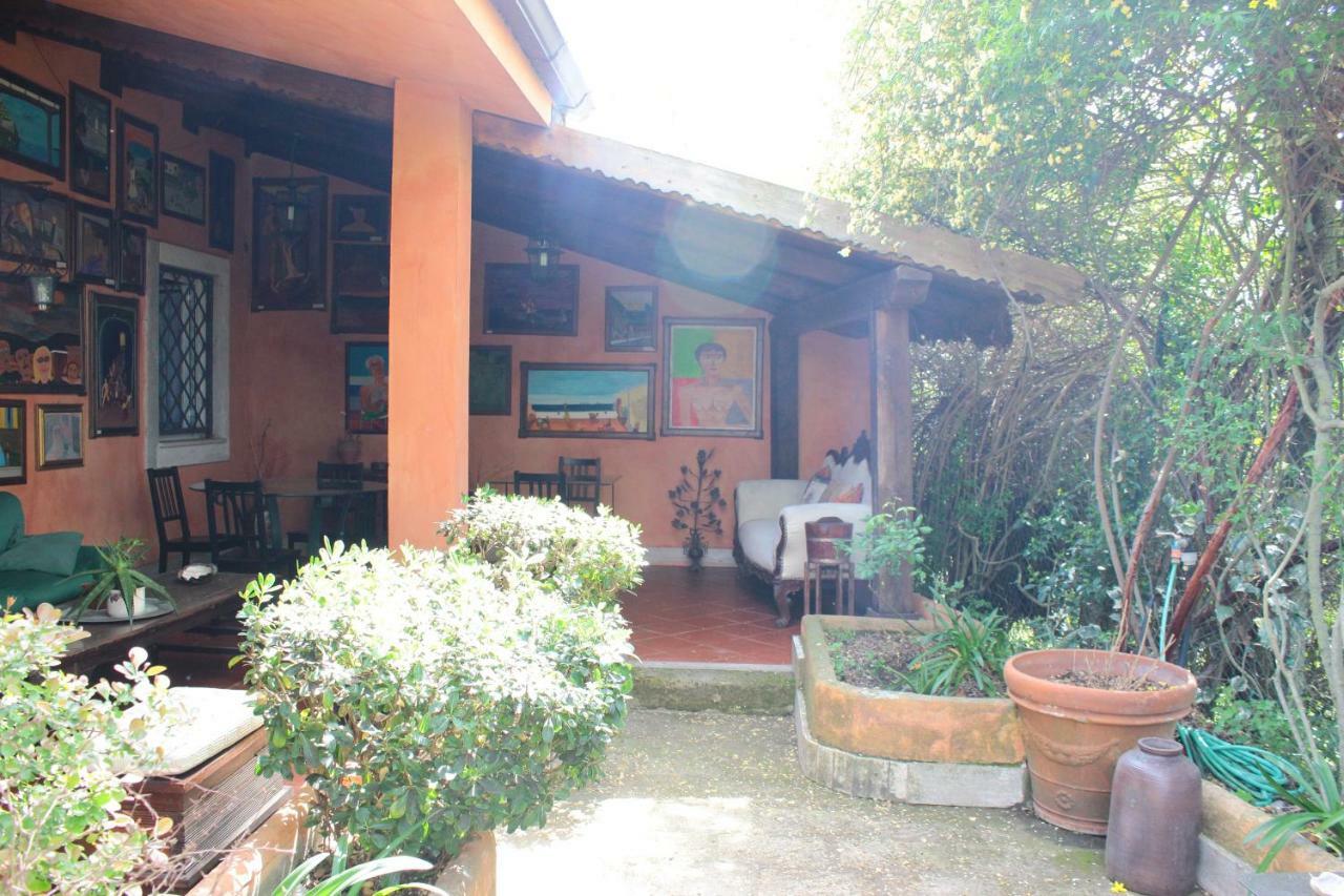 B&B Country Lemon Santa Marta 외부 사진